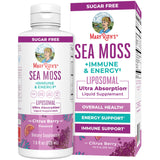 MaryRuth's mousse de mer liposomale, bouteille prête à booster énergie et immunité