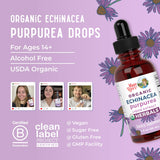 MaryRuths Echinacea Liquide sans produits animaux et sans substances qui posent problème.