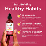 MaryRUTH'S Zinc Ionique – zinc dans l'eau, goût Fraise-Citron agréable.