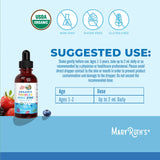 MaryRuth's Zinc liquide – dose quotidienne en gouttes, facile à mesurer