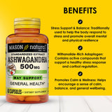 Ashwagandha Mason Natural — Gélules visibles, énergie potentielle tout au long de la journée.