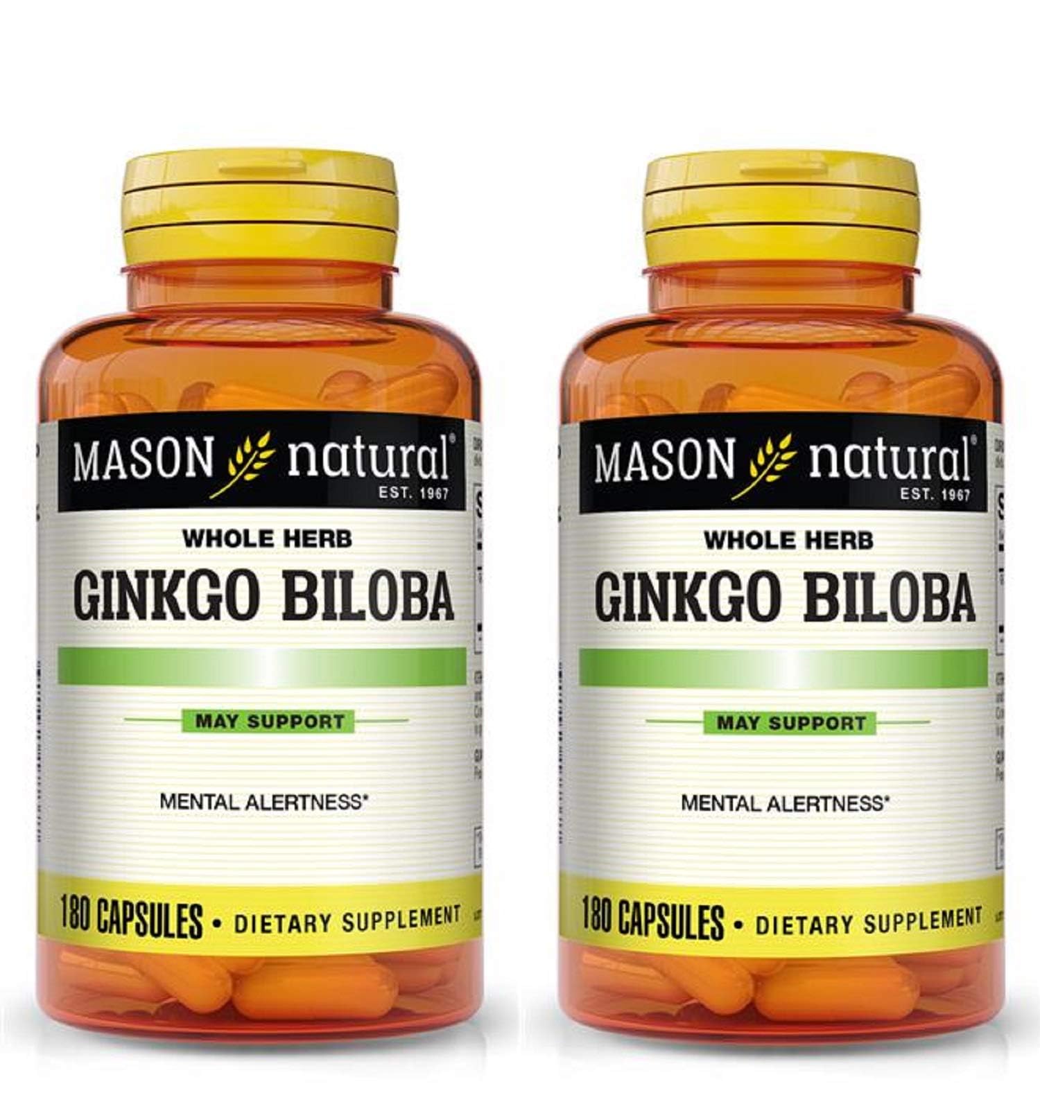 Bouteille Mason Natural Ginkgo Biloba 500 mg, facile à intégrer dans votre routine.