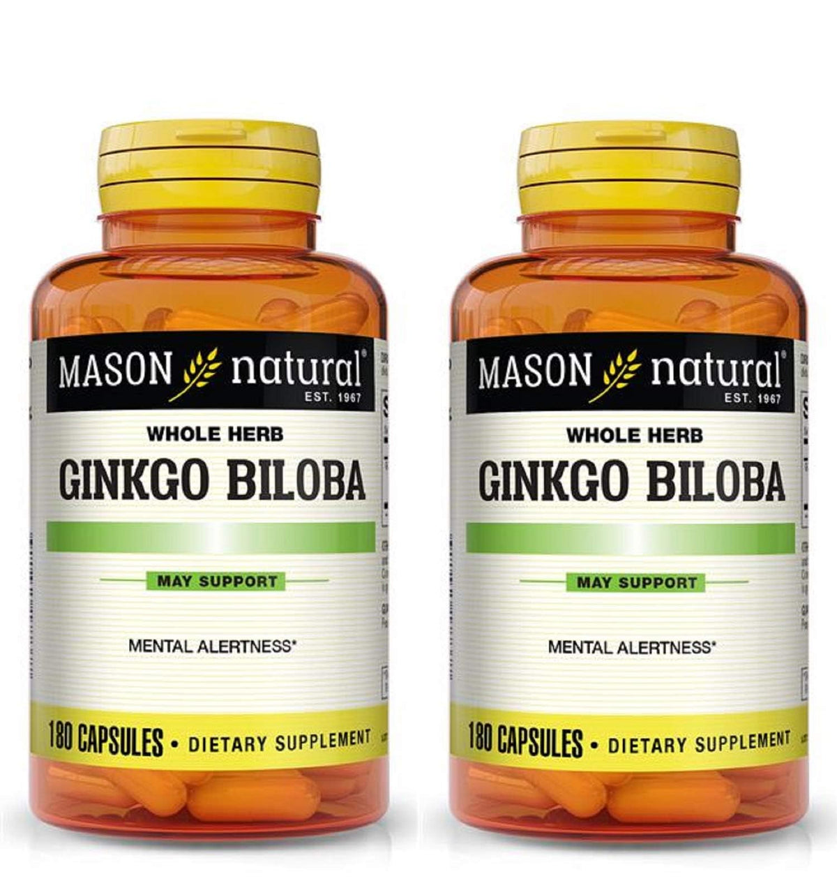 Bouteille Mason Natural Ginkgo Biloba 500 mg, facile à intégrer dans votre routine.