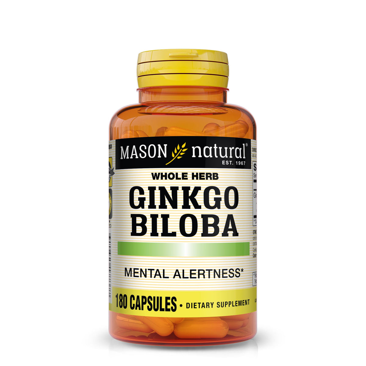Boîte Mason Natural Ginkgo Biloba – présentation pratique pour routine quotidienne.