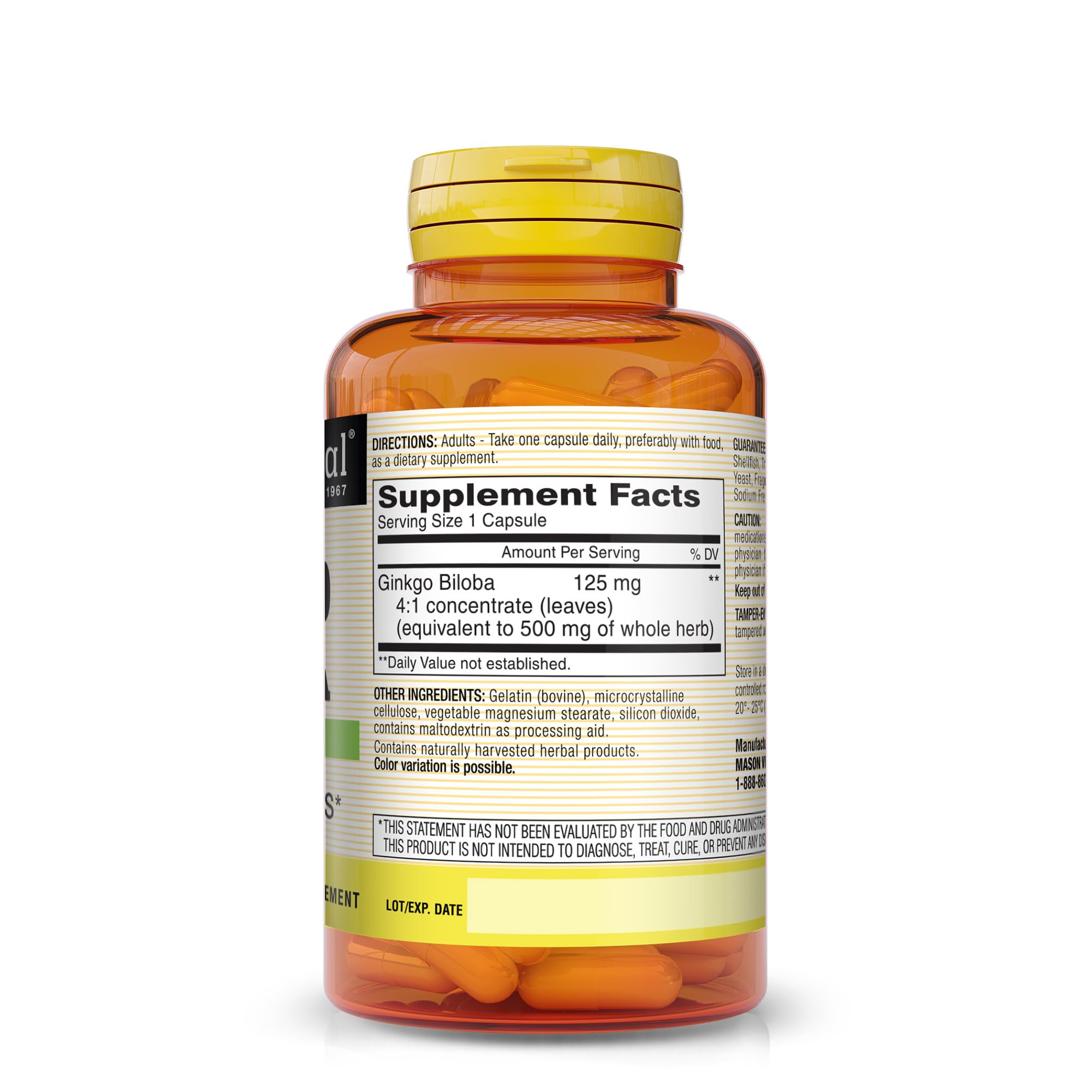 Concentré 4:1 Mason Natural Ginkgo Biloba, démontrant la puissance potentielle.