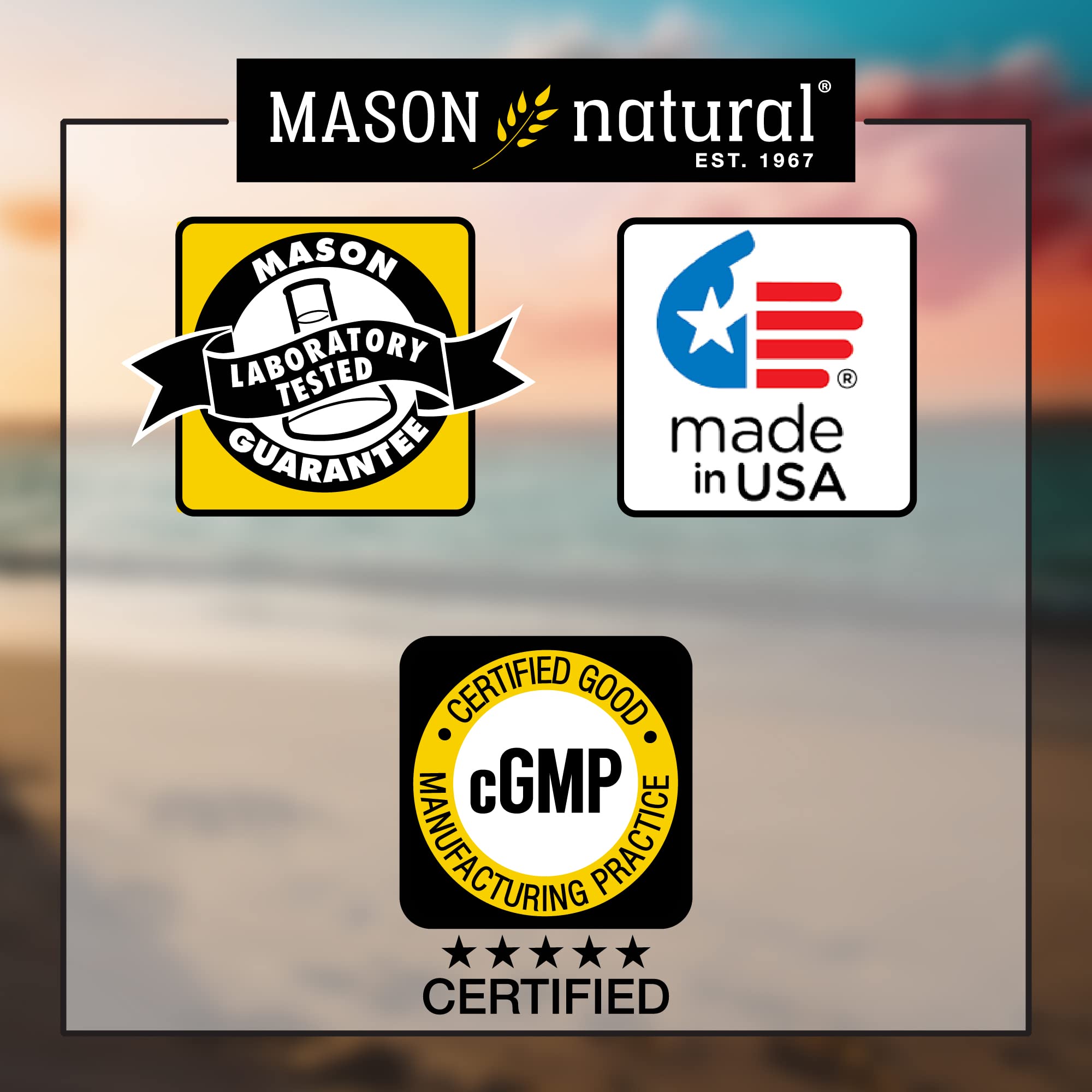Ambiance bien-être à domicile avec Mason Natural Veine Erect en utilisation quotidienne.