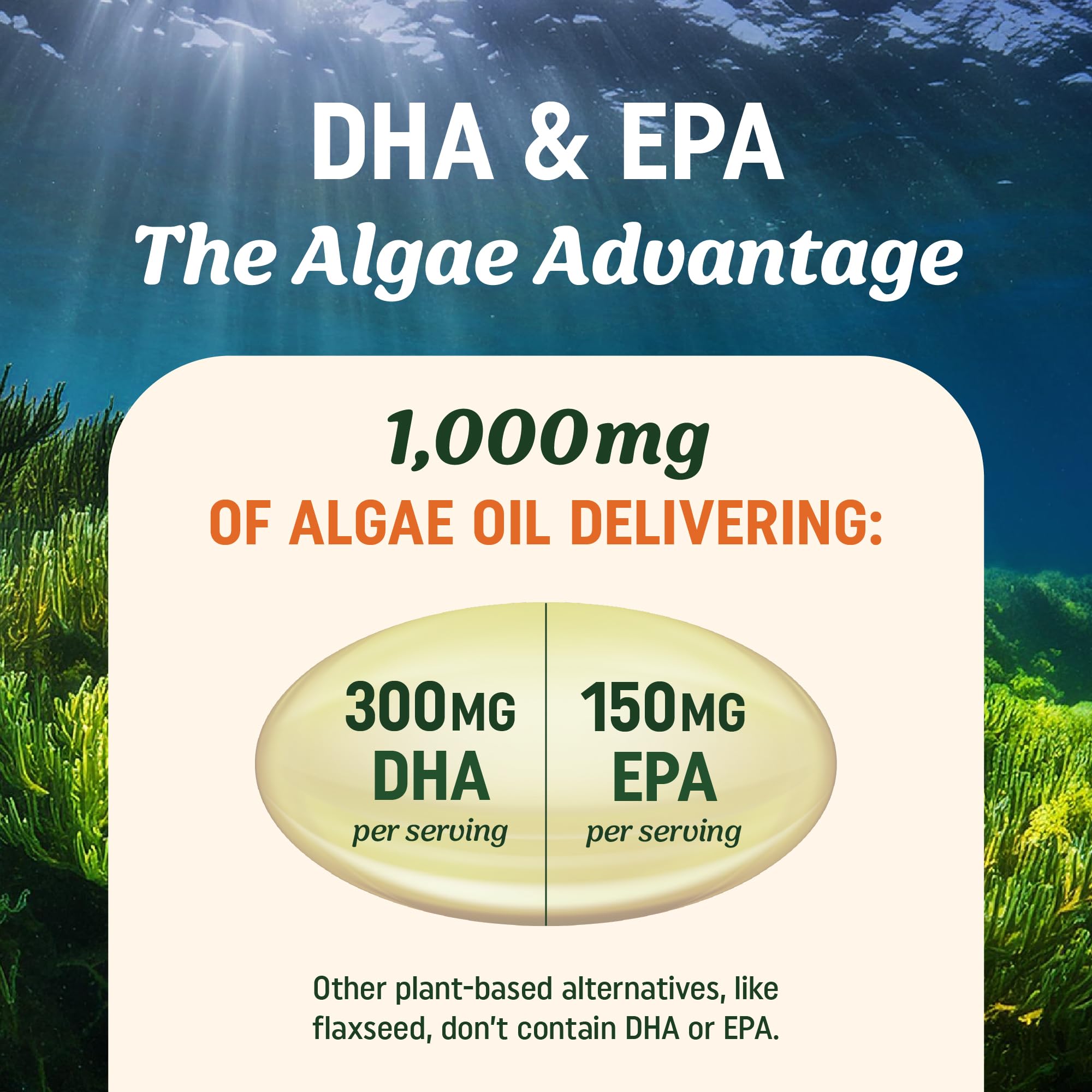 MAV NUTRITION algue microalgue sourcée durablement — approche éco-responsable.