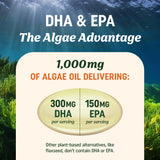 MAV NUTRITION algue microalgue sourcée durablement — approche éco-responsable.