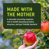 Gommes MAV NUTRITION métabolisme et énergie pour la journée