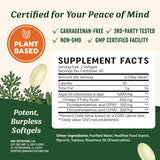 MAV NUTRITION oméga algue cerveau — potentiel soutien cognitif et clarté.
