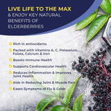 MaxImmunity bouteille de sureau noir prête pour un usage quotidien.