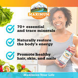 Maximum Living MineralRich dose B12 dans le verre, soutien potentiel à l énergie.