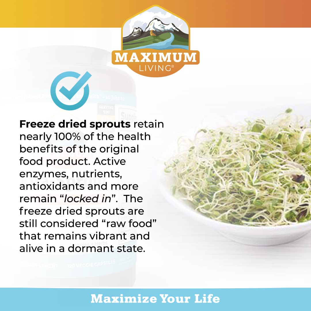 Vitamine B12 et nutriments végétaux dans Vita-Sprout Maximum Living.