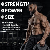 Max Muscle Maxpro Elite boisson protéinée: récupération après l’entraînement