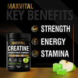 MAXVITAL Créatine Monohydrate Gommes, certification halal