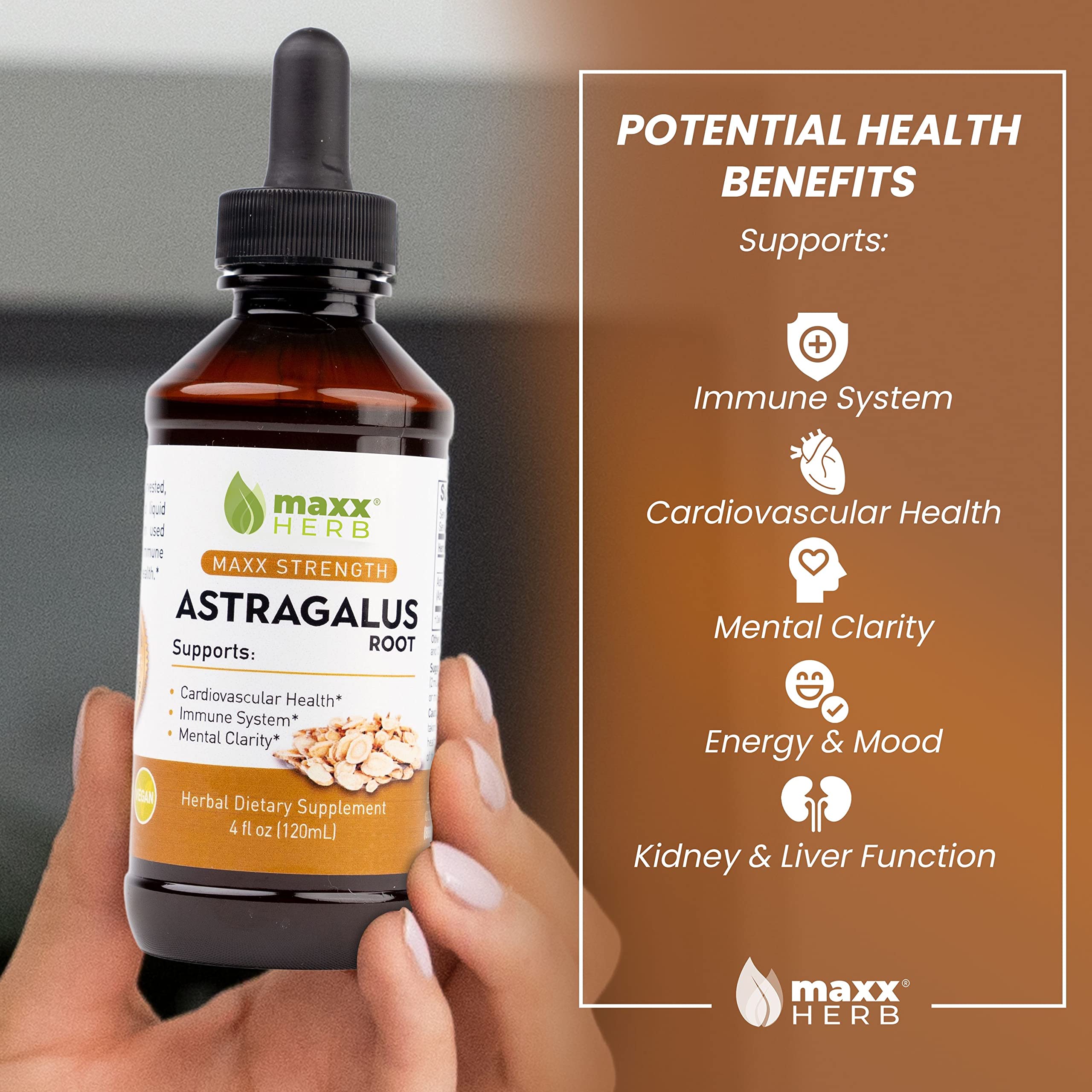 Maxx Herb Astragalus gouttes doseuses: préparation facile pour usage quotidien