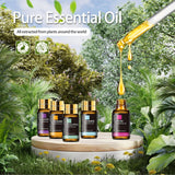 Diffuseur rempli d'huiles MAYJAM, ambiance apaisante et parfum durable.