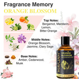 MAYJAM Fleur d'oranger, diffuseur doux pour créer une ambiance relaxante.