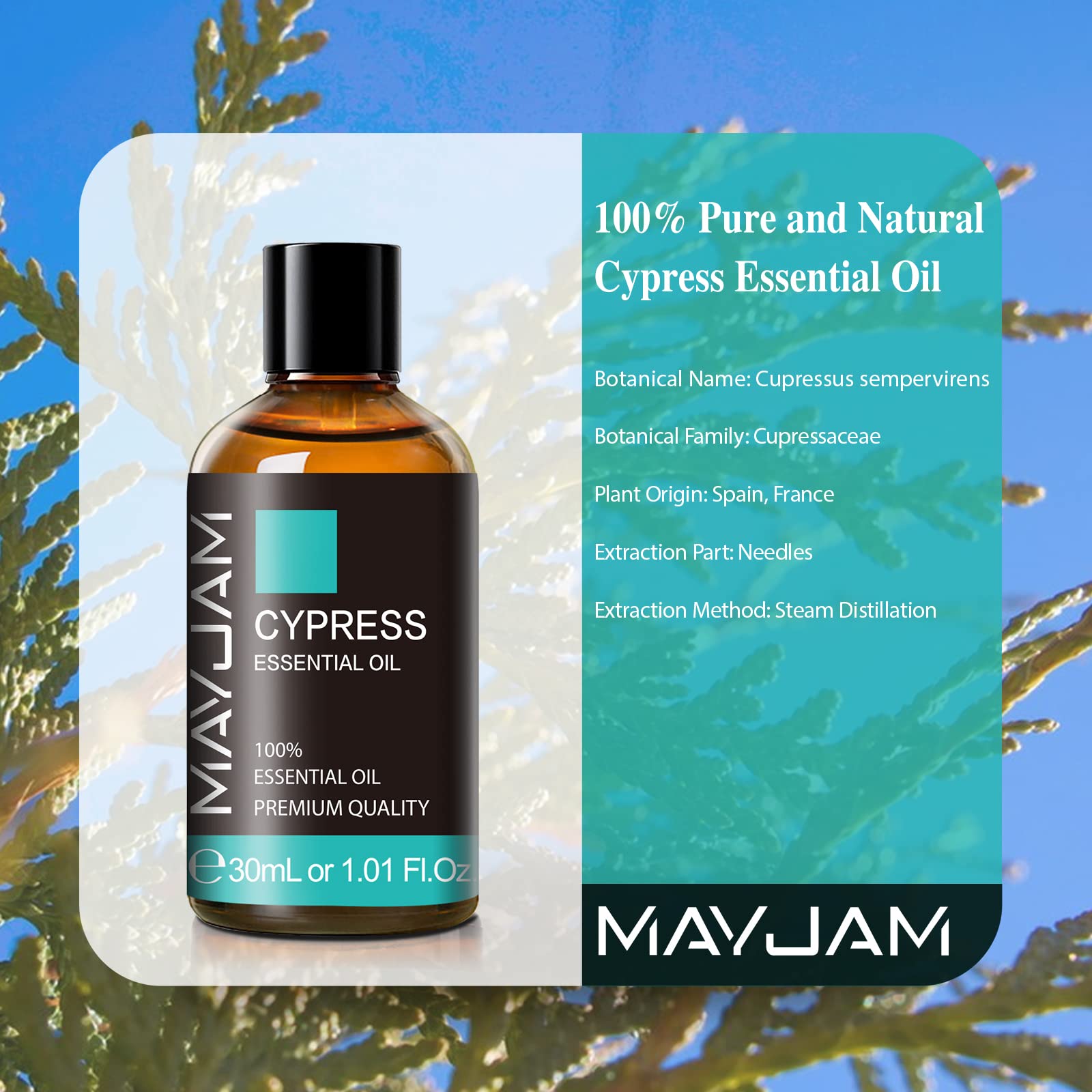 MAYJAM Cypress huile essentielle dans coffret élégant, idéal cadeau parfumé.