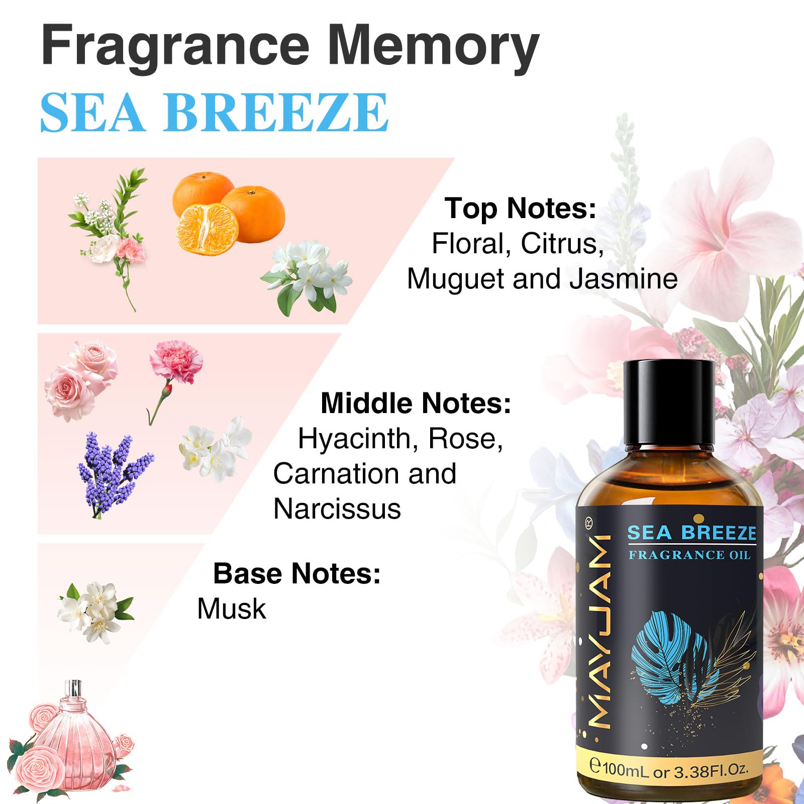 MAYJAM Sea Breeze: parfum adapté au savon et à la bougie DIY.