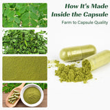MEDI BOTIC champs moringa, feuilles cultivées pour qualité et fraîcheur.