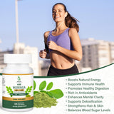 MEDI BOTIC emballage Moringa 800mg, informations claires sur la pureté.