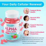 MEENCCD Alpha Lipoic Acid Gummies - ingrédients naturels et option vegan.