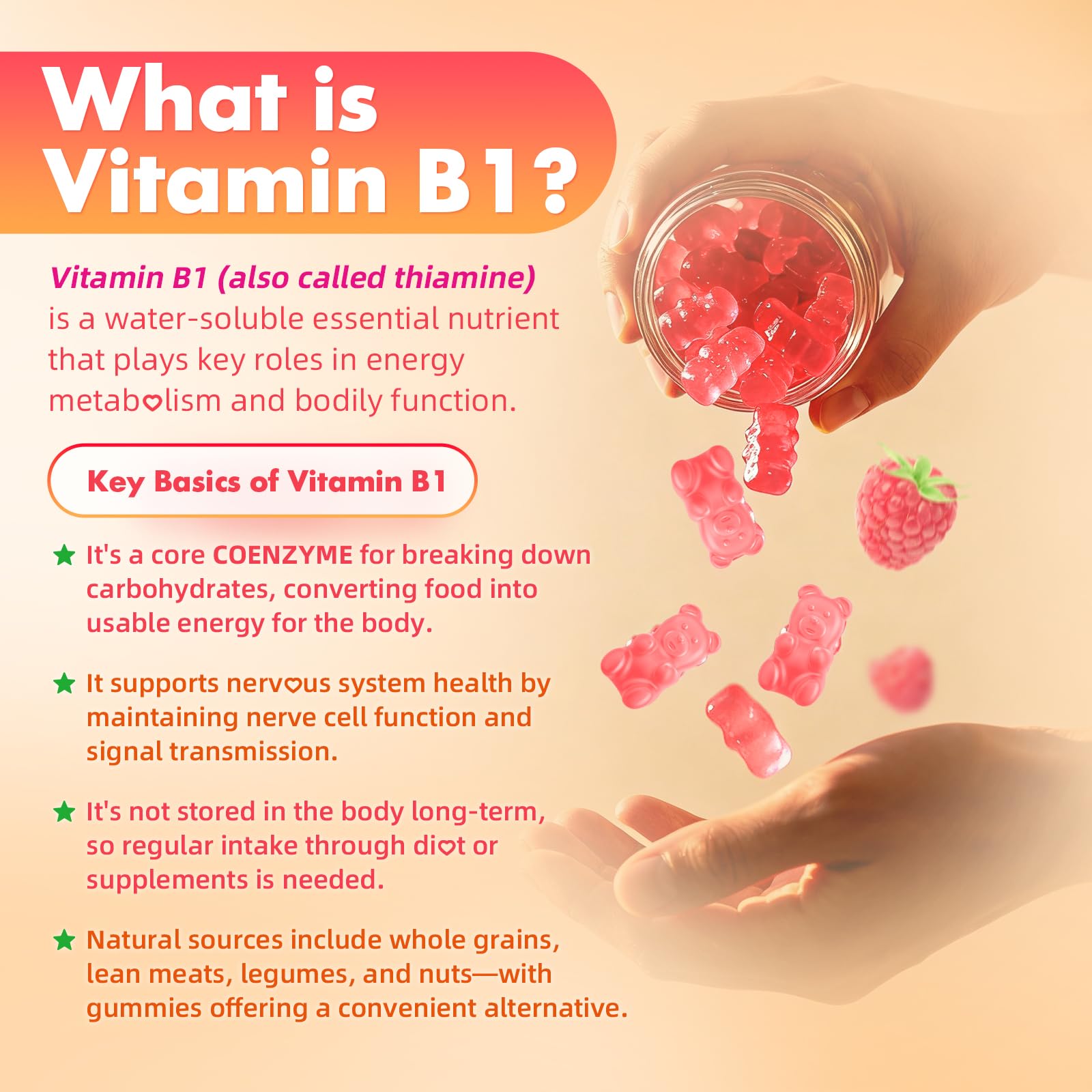 MEENCCD texture gomme B1: mâchage facile et rapide.