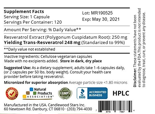 Mega Resveratrol — capsules de 250 mg pour une supplémentation quotidienne pratique.