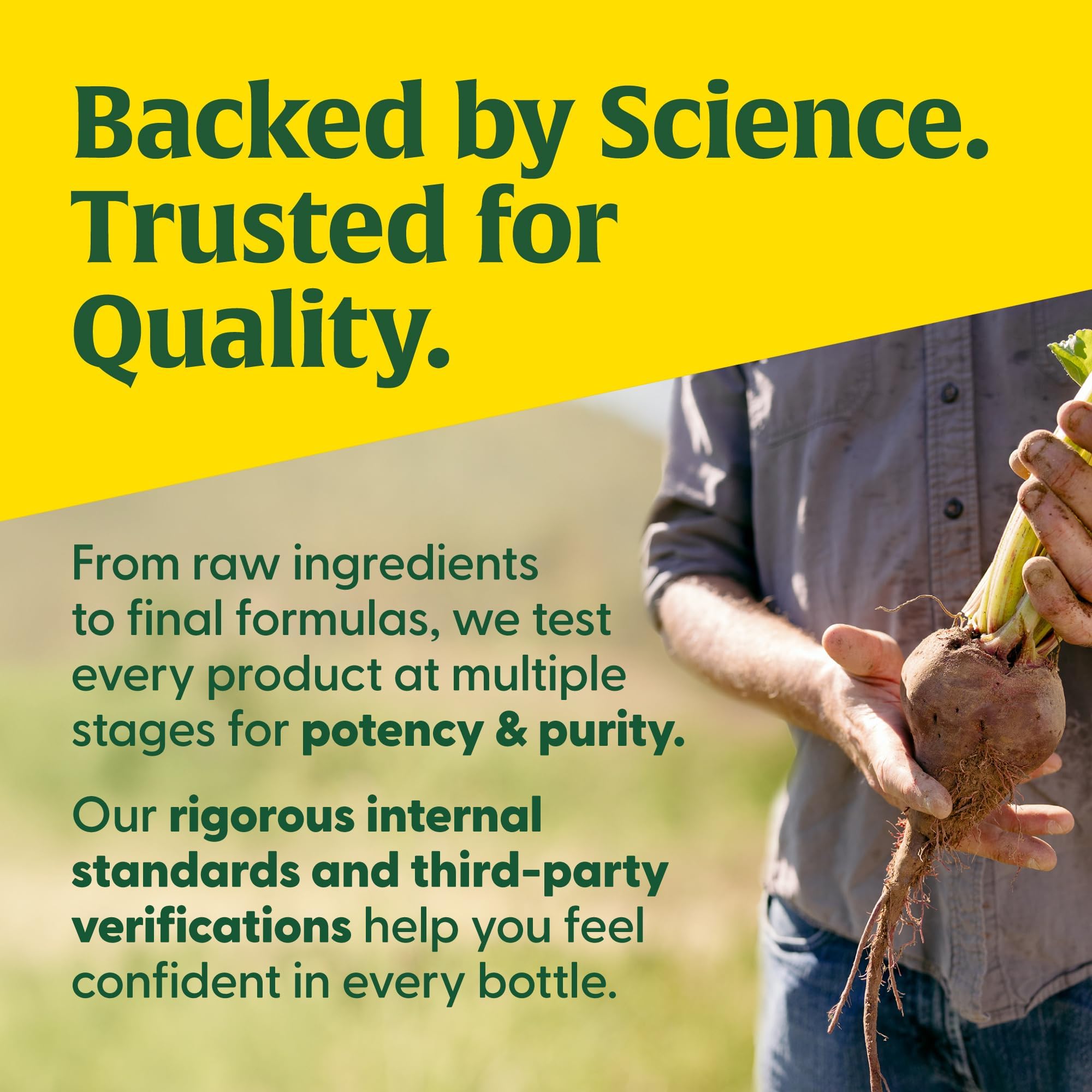 MegaFood Adrenal Strength: acide pantothénique et riz brun pour des nutriments essentiels.