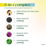 MegaFood Algues de Mer Irlandaises Complexe – extraits concentrés visibles sur l’emballage.