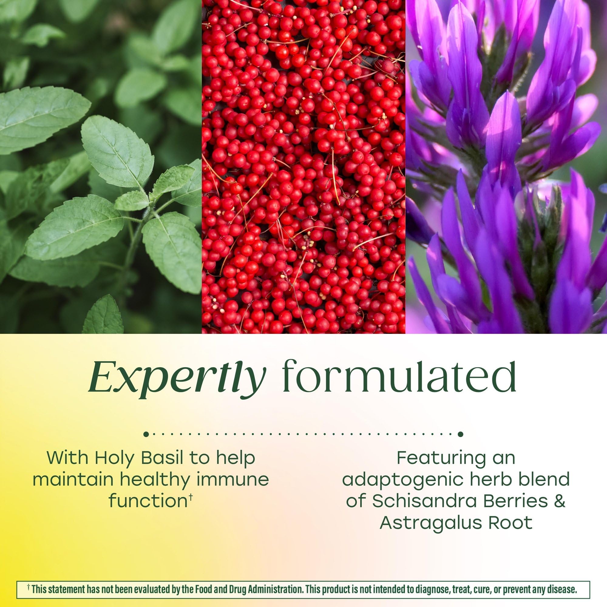 MegaFood Ashwagandha Complex – close-up sur l Ashwagandha racine dans la formule.