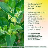 MegaFood Ashwagandha Complex – basilic sacré pour soutenir une fonction immunitaire saine.