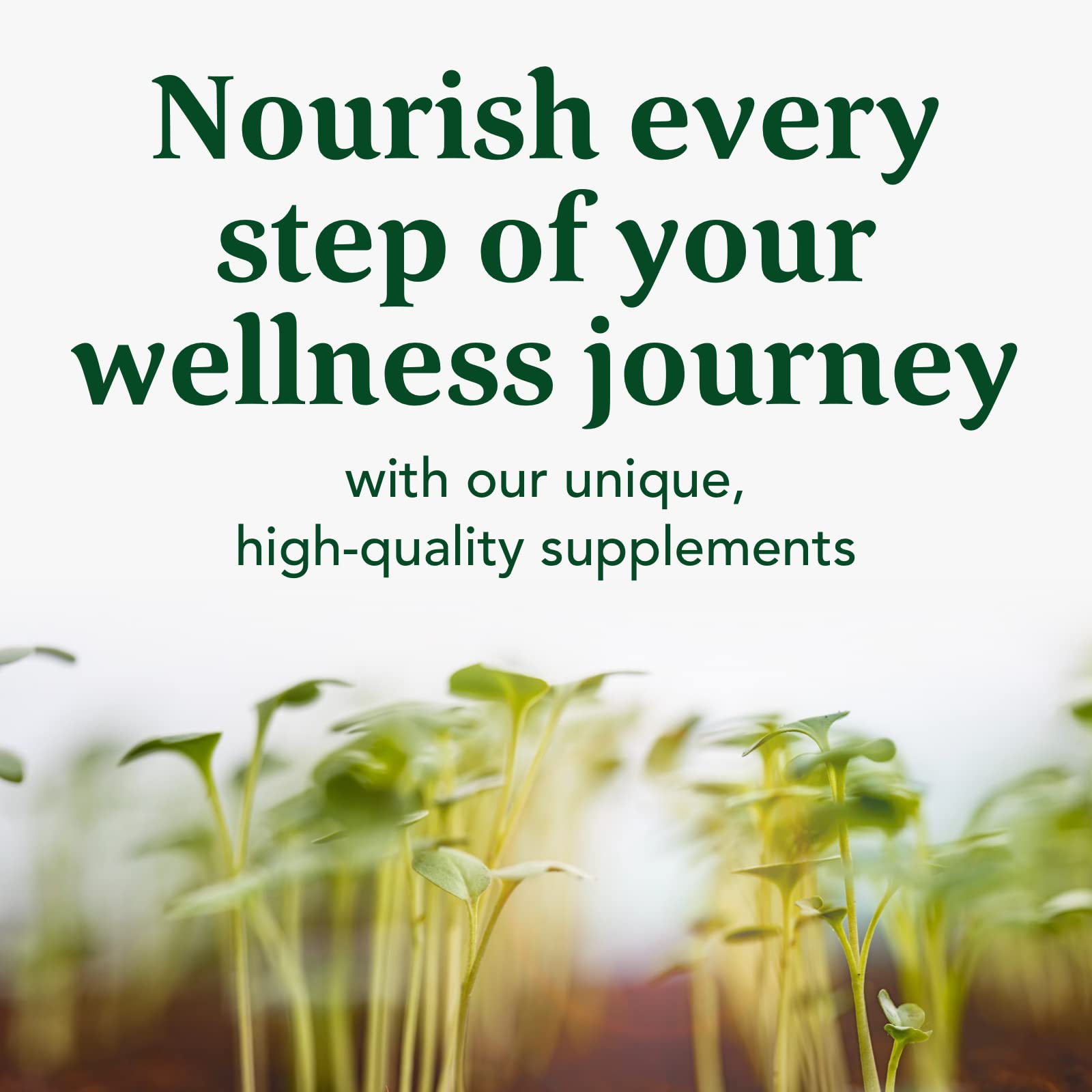 Emballage MegaFood Blood Builder avec informations claires et lisibles.