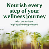 Emballage MegaFood Blood Builder avec informations claires et lisibles.