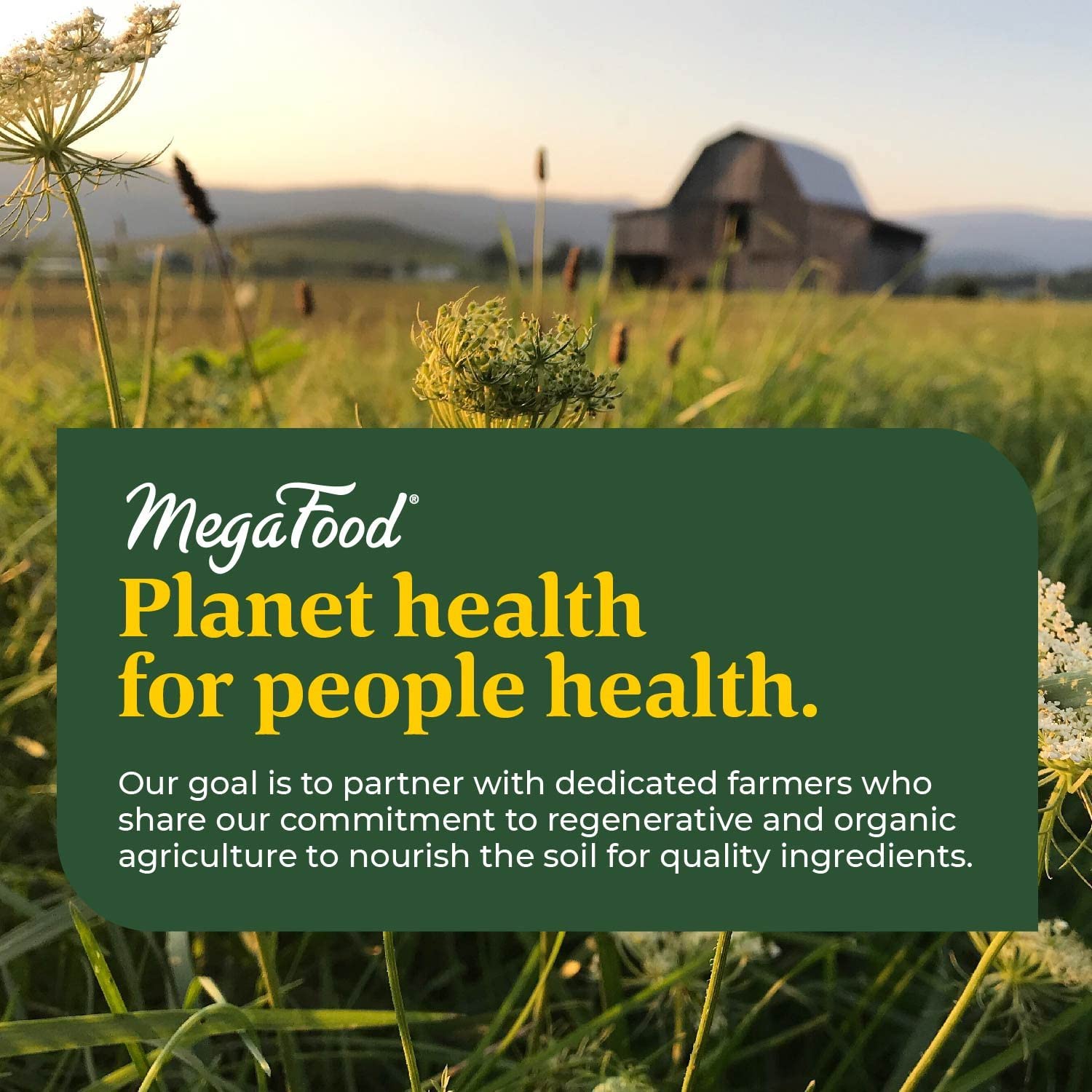 Utilisation MegaFood Blood Builder par hommes et femmes actifs.