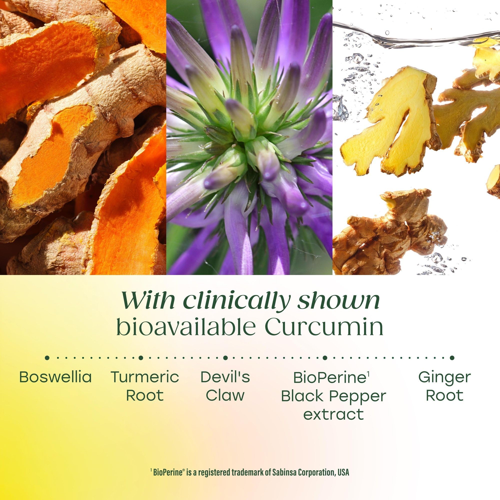 MegaFood Curcuma – Boswellia et Gingembre: confort quotidien en douceur.