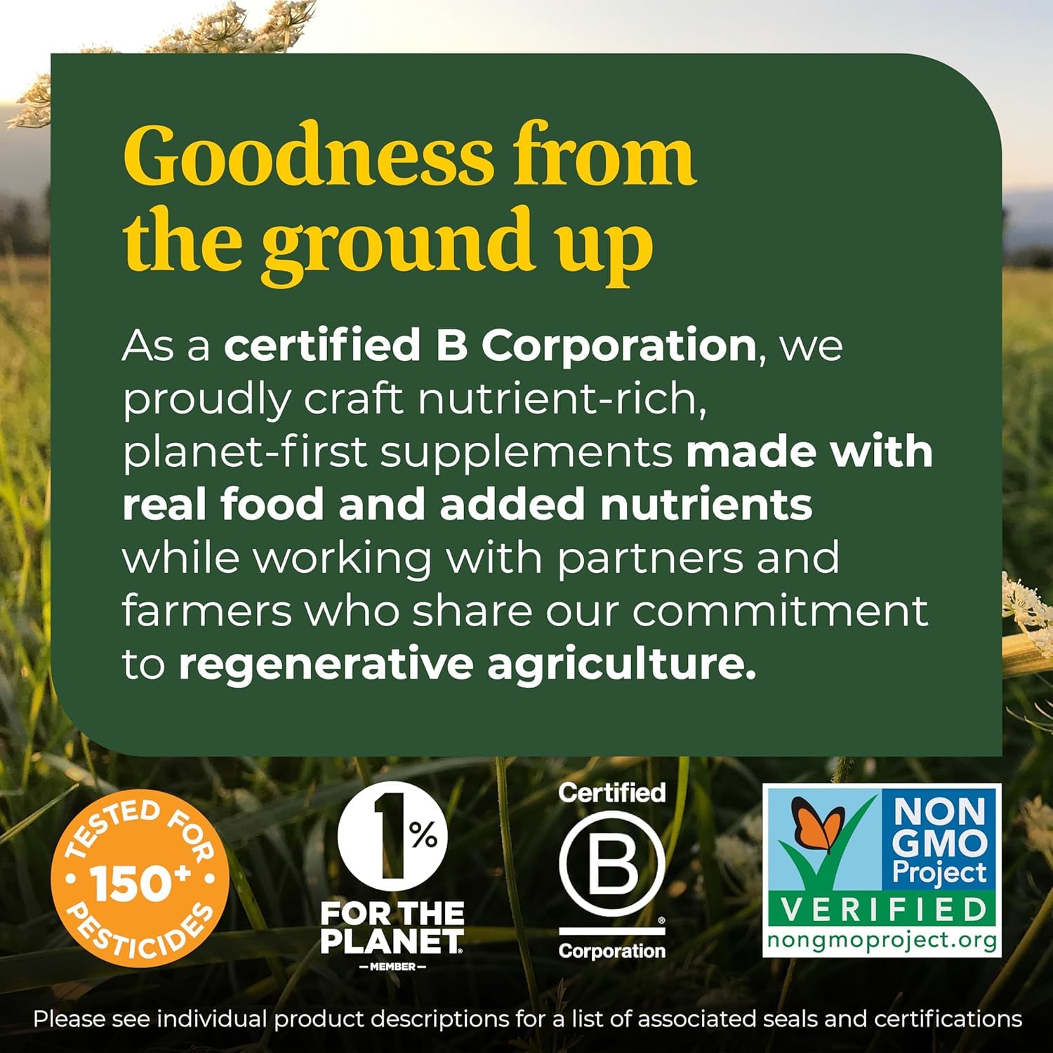 Tableau des souches MegaFood Digestive Probiotic, 12 souches pour le soutien digestif