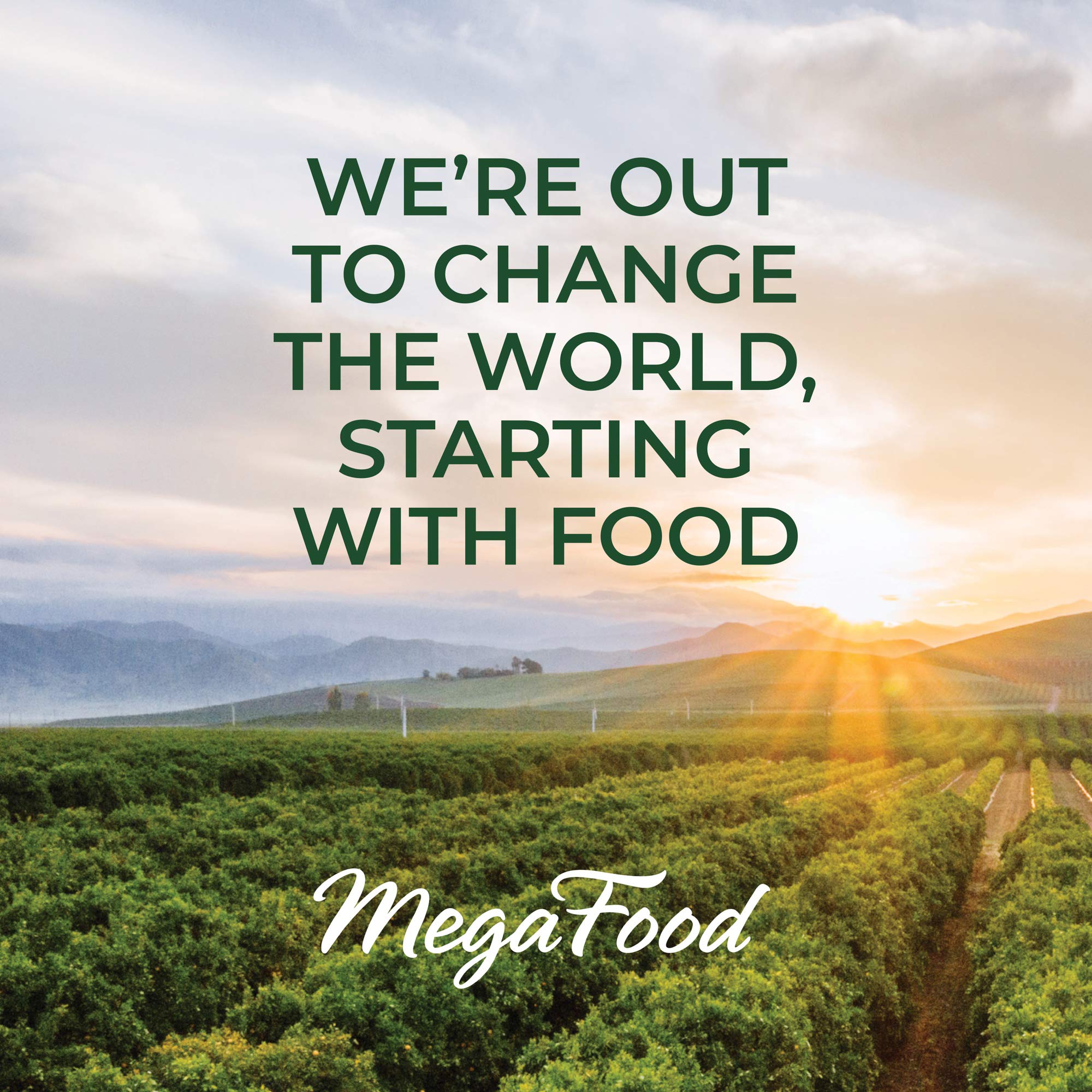 Étiquettes MegaFood indiquant végan et contrôle des allergènes pour la tranquillité.