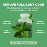 Capsules chlorophylline Megneta, format facile à prendre au quotidien.