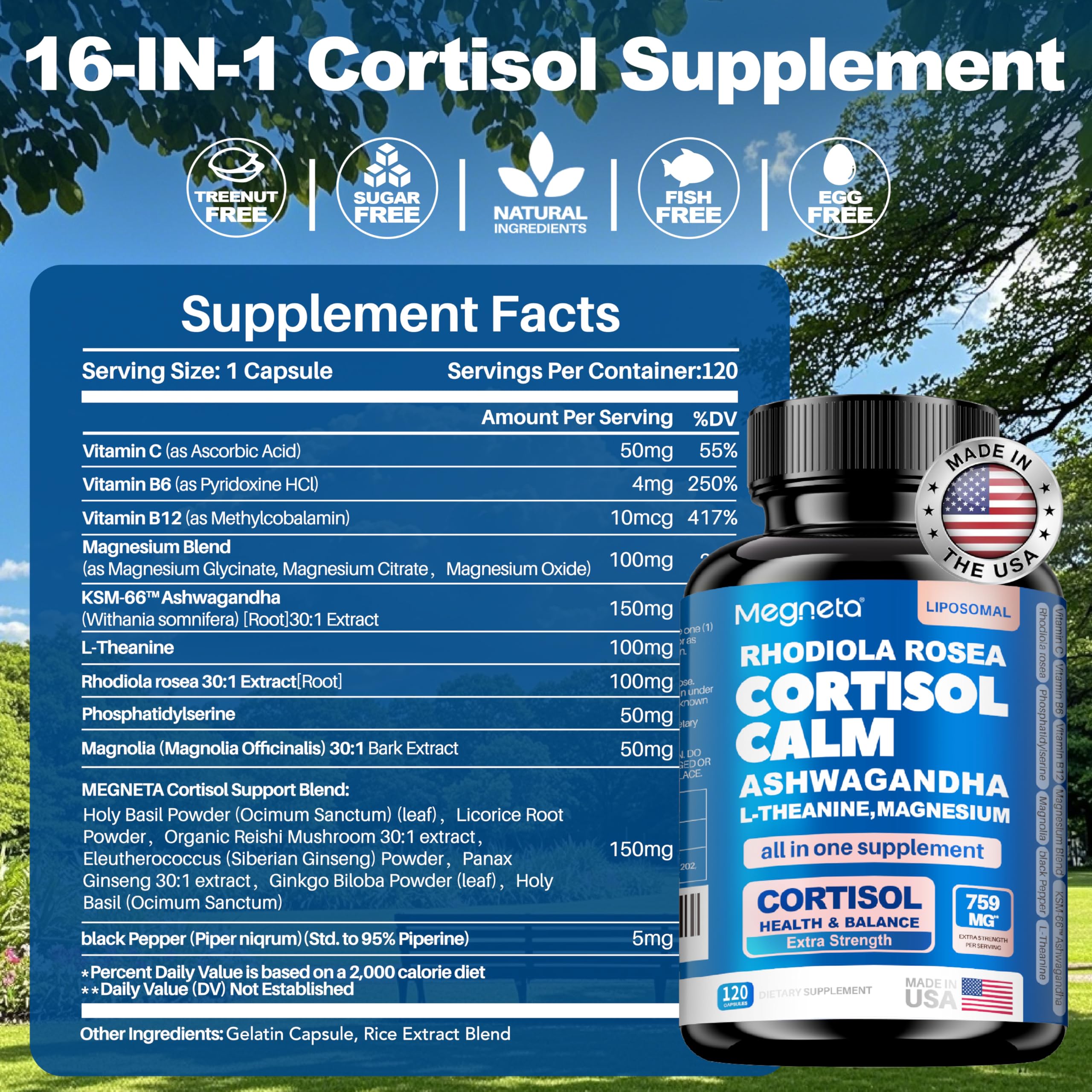 MEGNETA Cortisol Balance – Focus sur les ingrédients qui soutiennent concentration et énergie.