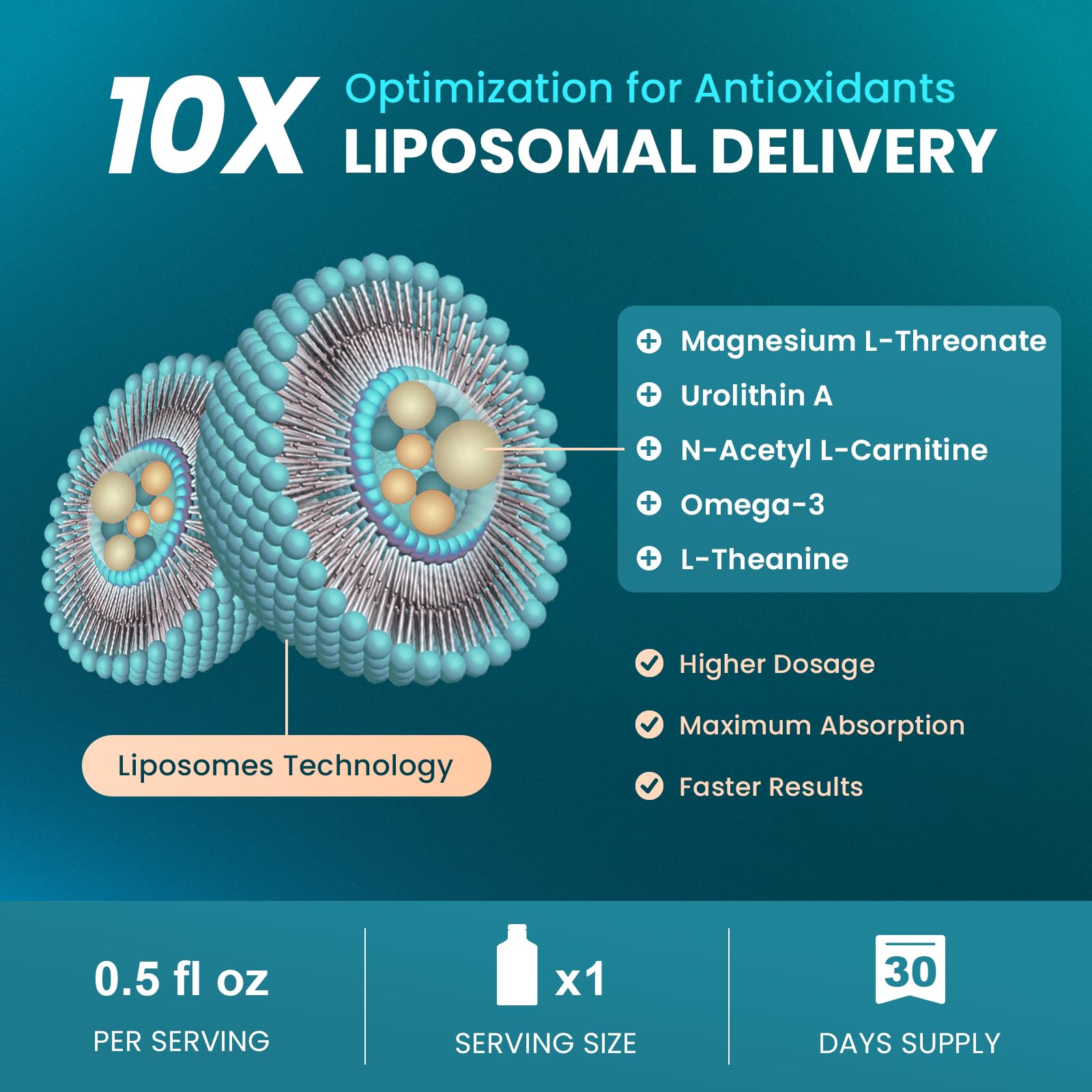 Oméga-3 DHA dans MEGNETA pour le bien-être cérébral.