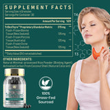 Meliorantheris TriDexThyro – capsules visibles, potentiel équilibre énergétique durable.