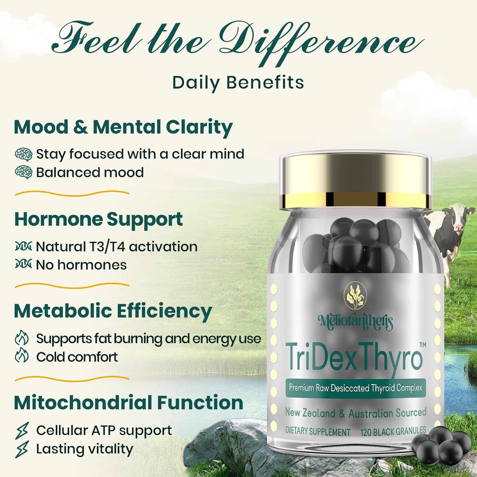 Étiquette et emballage Meliorantheris TriDexThyro, présentation du produit et de ses ingrédients.