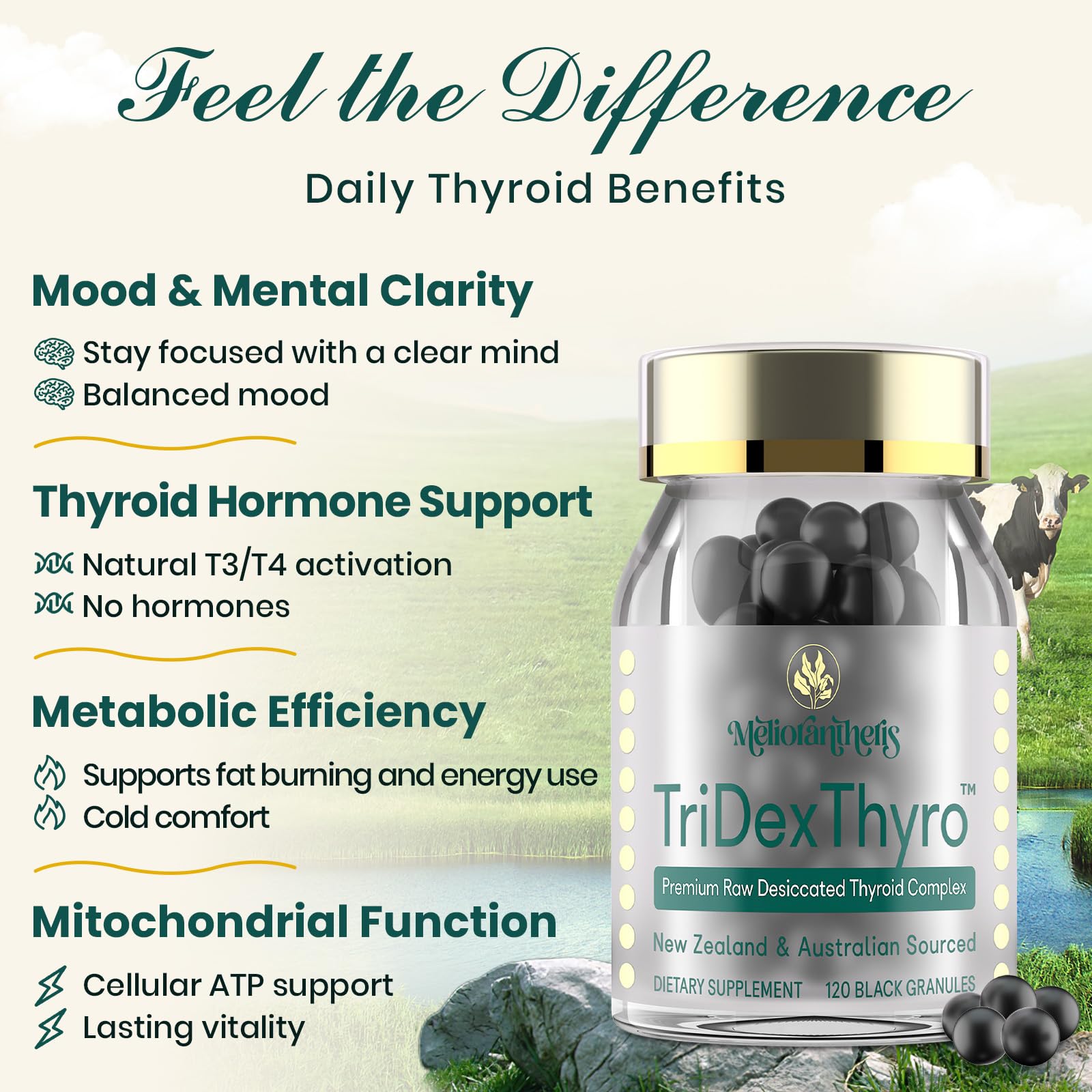 Source bovine TriDexThyro: ingrédient naturel dans le flacon