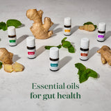 Menthe Poivrée Young Living, huile végane sans gluten certifiée kasher