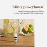 Young Living Menthe Poivrée, diffuseur aromatique pour ambiance rafraîchissante