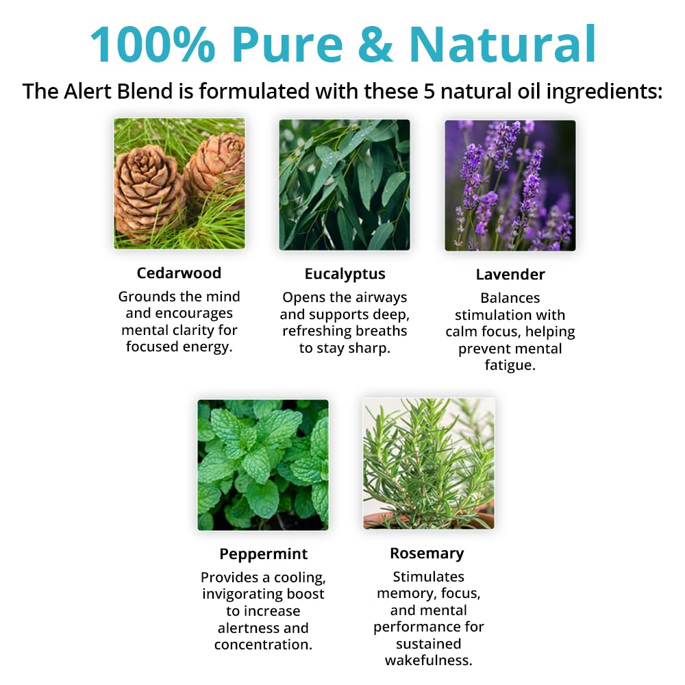 mEssentials Alert: aromathérapie menthe lavande pour fraîcheur et concentration