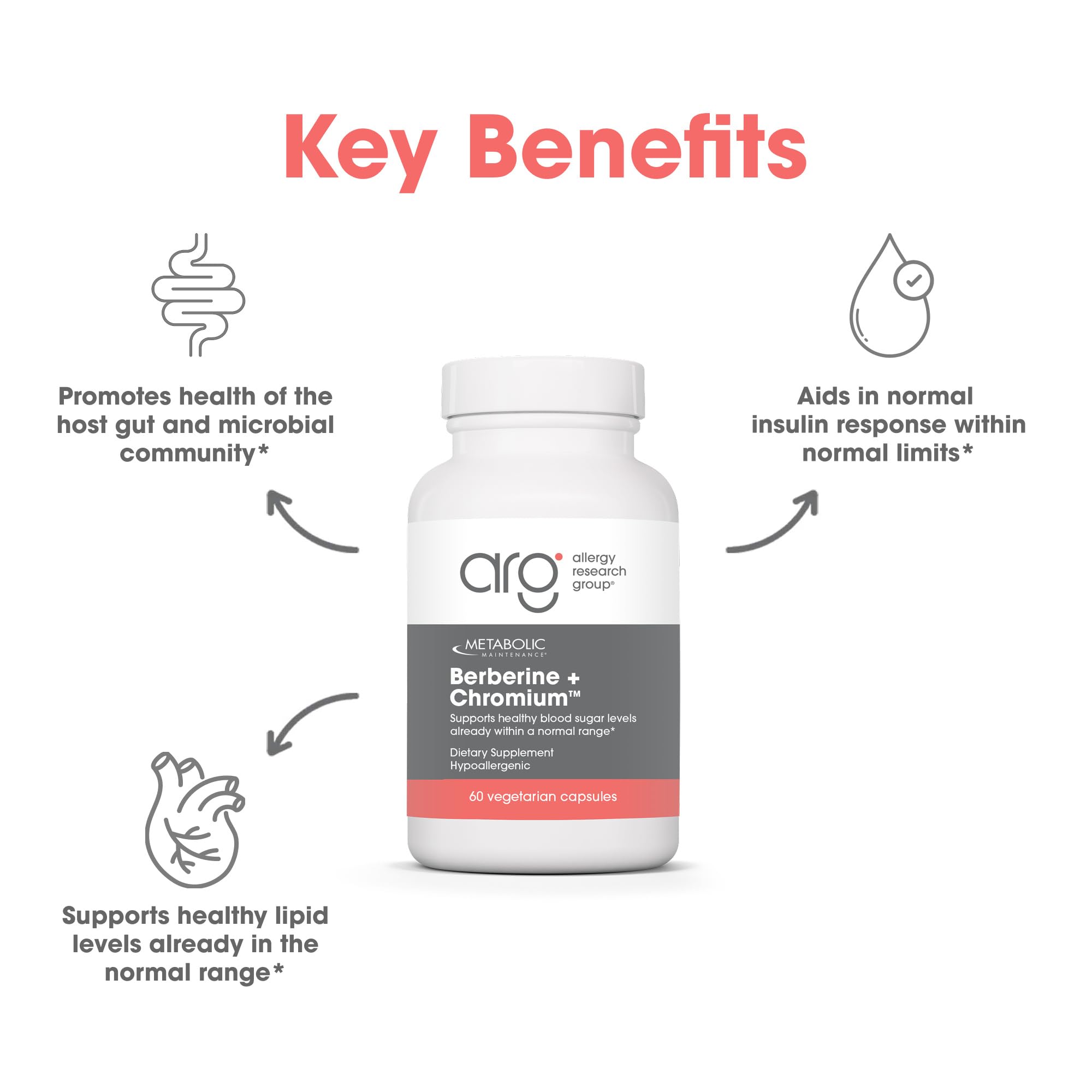 Metabolic Maintenance Berberine + Chromium – informations sur les ingrédients clés pour la digestion.