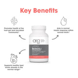 Metabolic Maintenance Berberine + Chromium – informations sur les ingrédients clés pour la digestion.